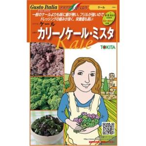 ケール 種 カリーノケール・ミスタ 小袋 (20...の商品画像