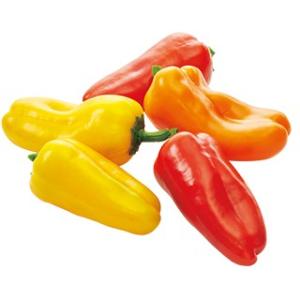 ピーマンの種 ぱぷ丸 オレンジ 小袋 ( 野菜の種 )の商品画像