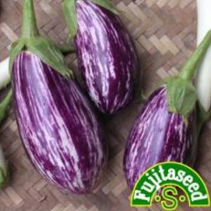 ナスの種 アレキサンドラ 小袋 ( 野菜の種 )