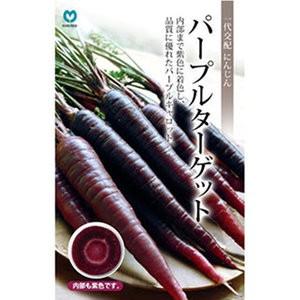 にんじん 種 パープルターゲット 小袋 ( 野菜の種 )