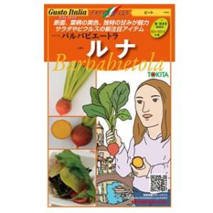 ビート 種  バルバビエートラ ルナ  80粒 （ 種 野菜 野菜種子 野菜種 ） ( 野菜の種 )