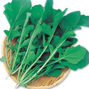 ルッコラの種 ロケットサラダ 10ml ( 野菜...の商品画像