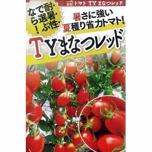 ミニトマト 種 『サンチェリーライズ（TSX-201）』 トキタ種苗/100粒