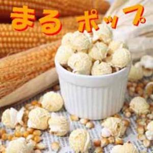 トウモロコシの種 もちもち太郎バイカラー 1dl : 菜園くらぶ Yahoo!店