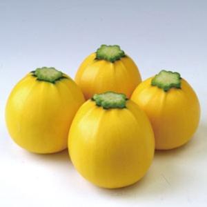 ズッキーニの種 パリーノ・ジャッロ（丸・黄） 小袋