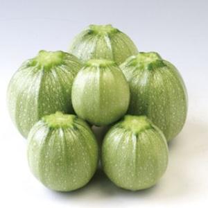 ズッキーニの種 パリーノオリーブ（丸・薄緑） 小袋