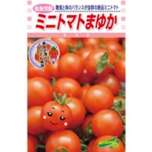 トマトの種 サンマルツァーノリゼルバ 1,000粒 ( 野菜の種 ) : 菜園