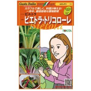 SK9-099 ブロッコリー種子 2000粒 【野菜種子】【サカタのタネ