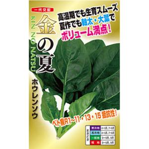 ほうれん草の種 金の夏 L1L ( 野菜の種 )