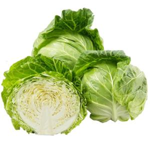 キャベツの種 桜春ＡＳ 小袋