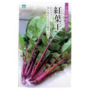 葉だいこん紅葉王(赤軸) 小袋(約8ml) ( ...の商品画像