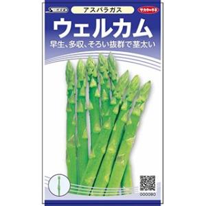 アスパラガスの種 ウェルカム 実咲小袋 ( 野菜の種 )