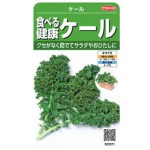 葉菜の種 食べる健康ケール 実咲小袋 ( 野菜の種 )