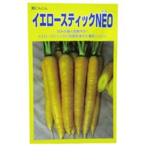 ニンジンの種 イエロースティックＮＥＯ ペレット200粒 ( 野菜の種 )