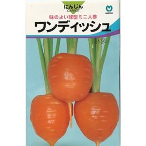 ニンジンの種 ワンディッシュ 小袋 ( 野菜の種 )