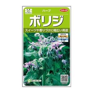 ハーブの種 ボリジ 実咲小袋 ( 野菜の種 )
