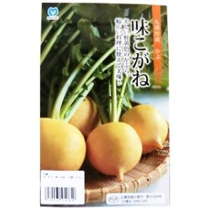 カブの種 味こがね　小袋（約2.5ｍｌ） ( 野菜の種 )