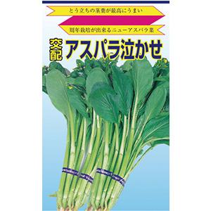 葉菜の種 アスパラ泣かせ 小袋
