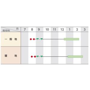 ブロッコリーの種 ウインタードーム ペレット120粒の詳細画像1