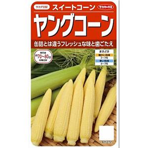 トウモロコシの種 ヤングコーン 実咲小袋 : 菜園くらぶ Yahoo!店