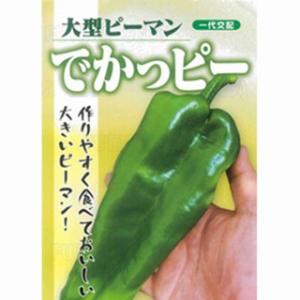 ピーマンの種 でかっピー 小袋(0.2ml) (...の商品画像