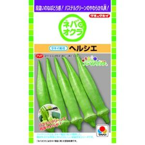 オクラの種 ヘルシエ 小袋(PF 90粒)