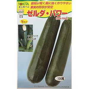 ズッキーニの種 秋どりズッキーニ オータムZ 小袋 : 菜園くらぶ Yahoo