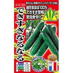 玉ねぎの苗 予約 中晩生 甘玉(七宝甘70）約100本 : 菜園くらぶ Yahoo