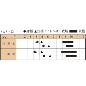 とうがらしの種 ハバネロ赤(レッド) 小袋(3...の詳細画像1