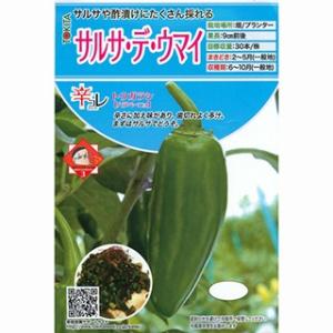 とうがらしの種 サルサ・デ・ウマイ 20粒 ( 野菜の種 )