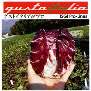 ラディッキョの種 春秋用80 キダネ200粒