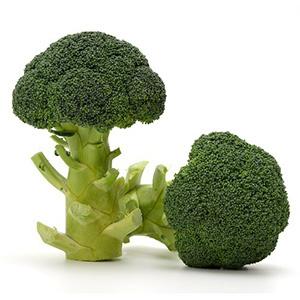 ピクセル ブロッコリー種子 ペレット5000粒 【野菜種子】 【サカタの