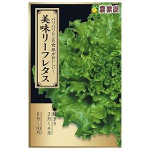 リーフレタスの種 美味（うま）リーフレタス ペレット40粒 ( 野菜の種 )