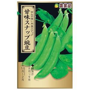 スナップエンドウの種 甘味スナップ 20ml(約...の商品画像