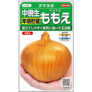 タマネギの種 アイドル ももえ（中晩生） 実咲小袋