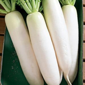 おでん大根 品種の商品一覧 通販 Yahoo ショッピング