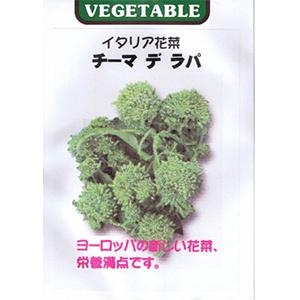 SK9-099 ブロッコリー種子 2000粒 【野菜種子】【サカタのタネ