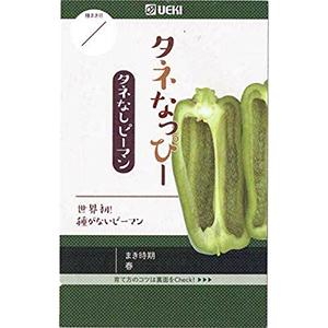 パパイヤの種 【ハワイオウロ】小袋（10粒） ( 野菜の種 ) : 菜園