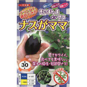 ナスの種 ナスがママ(そのまんまdeナス) 小袋...の商品画像
