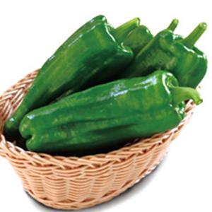 ピーマンの種 ジャンピー 小袋（30粒） : 菜園くらぶ Yahoo!店 - 通販