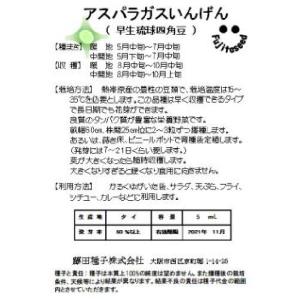 インゲンの種 アスパラガスインゲン(早生琉球四...の詳細画像1