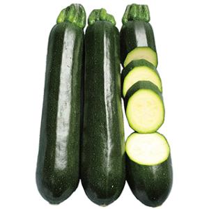 ズッキーニの種 ダークヤングマン 100粒( 野菜の種 )