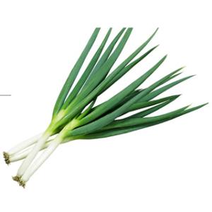 ネギの種 とろ甘 小袋