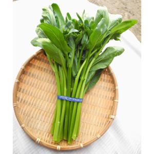 ナバナの種 アスパラッチェ 小袋