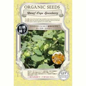 ほおずきの種 有機食用ほおずき ケープグースベリ...の商品画像