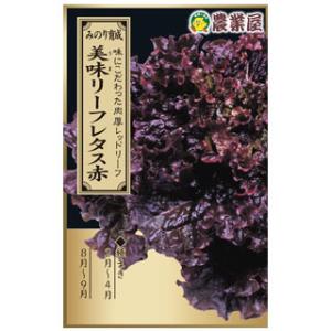 リーフレタスの種 美味（うま）リーフレタス赤  ペレット40粒 ( レタス 野菜の種 )