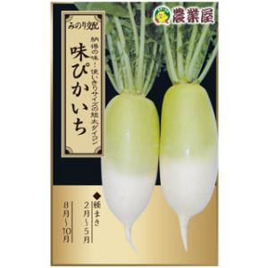 大根の種 味ぴかいち 小袋 3ｍｌ（約150粒） ( ダイコン 野菜の種 )｜saien-club