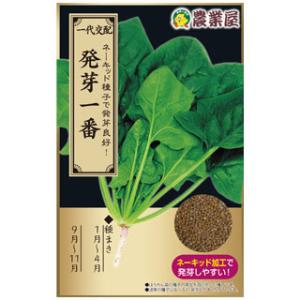 SK9-099 ブロッコリー種子 2000粒 【野菜種子】【サカタのタネ