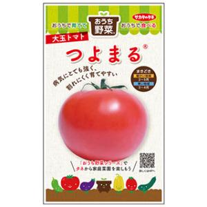 トマトの種 おうち野菜　大玉トマト　つよまる  小袋 ( 野菜の種 )｜saien-club