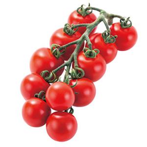 トマトの種 Mr．浅野のけっさく2（中玉） 15粒
